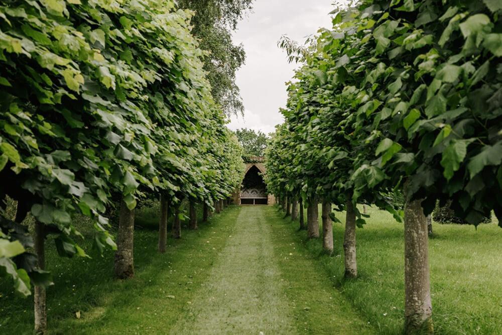 Cressy Hall - Historic Grade II Listed Manor, Gorgeous Topiary Garden Gosberton Exterior foto